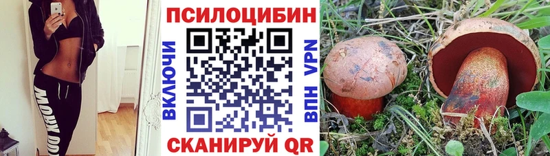 Галлюциногенные грибы мицелий  Красноярск 