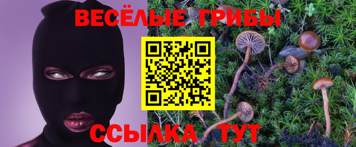 цена   Псилоцибиновые грибы Psilocybe  Вход с VPN  Красноярск 