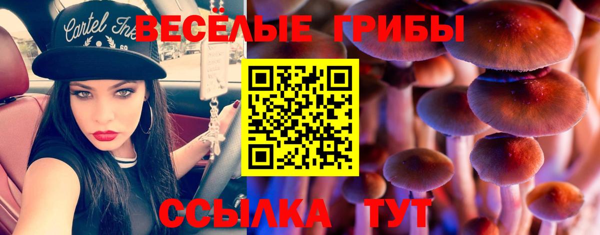 Галлюциногенные грибы ЛСД Красноярск