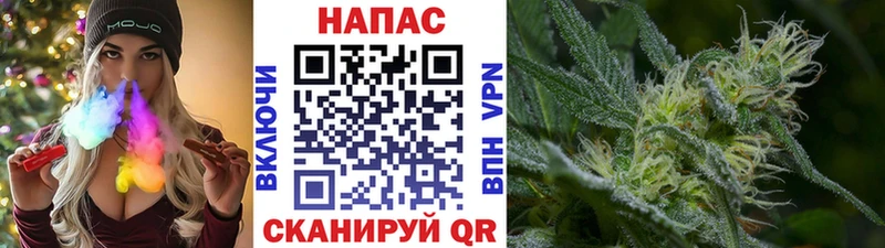Шишки марихуана конопля Красноярск